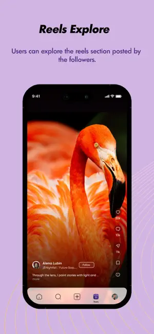 SnaptaIG screenshot 2