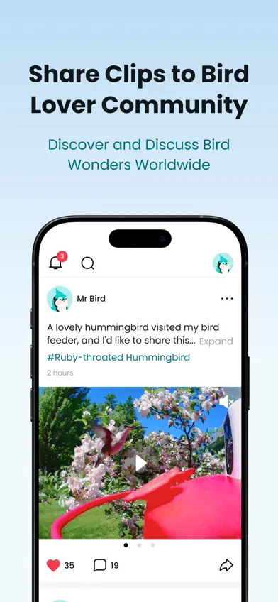Birdfy screenshot 4