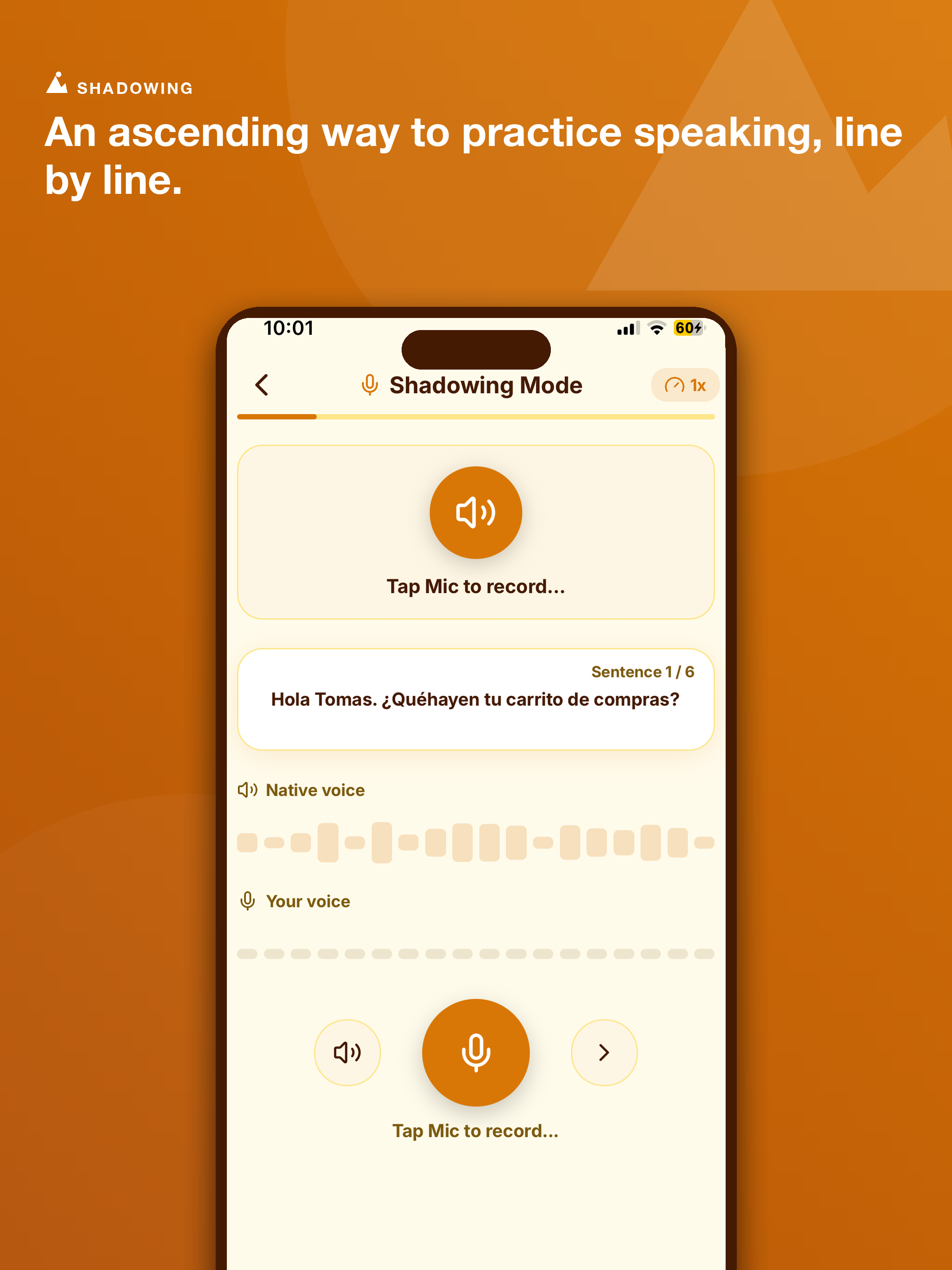 Learn Catalan - LingoRise screenshot 15
