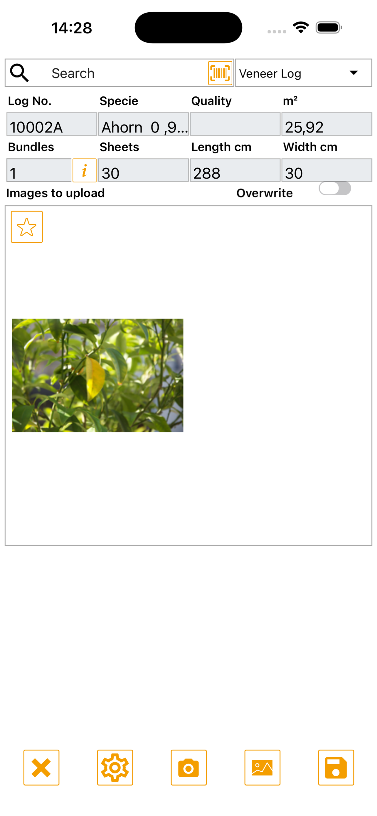 TIMBERplus Camera 2