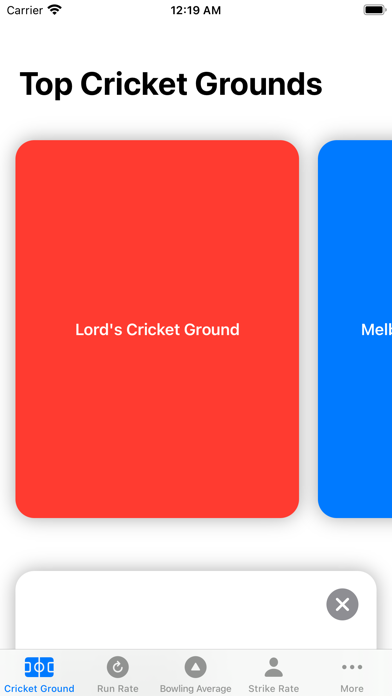Cricket Ground Screenshot