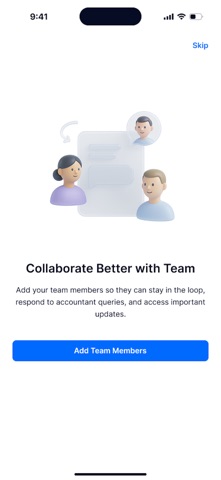 Accountant AI Copilot screenshot