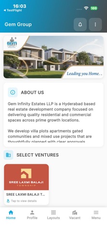 Gem Group screenshot