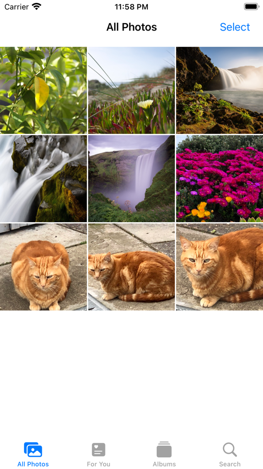 #5. Lost Cat App (iOS) 由: Feargal Tobin
