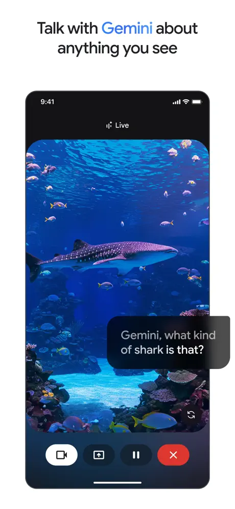 Google Gemini screenshot 2