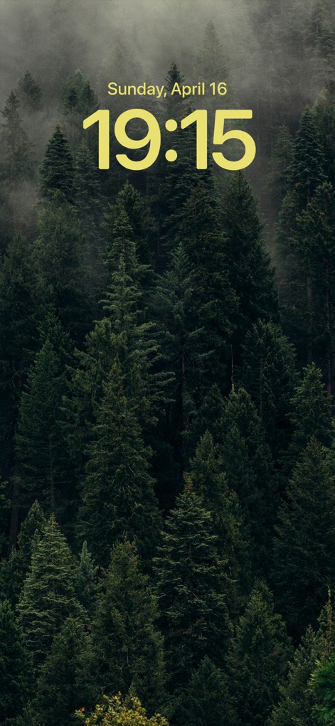 Wallcraft – Wallpapers, live - The app presents a beautiful lock screen wallpaper with a serene misty forest landscape and prominent yellow time display.