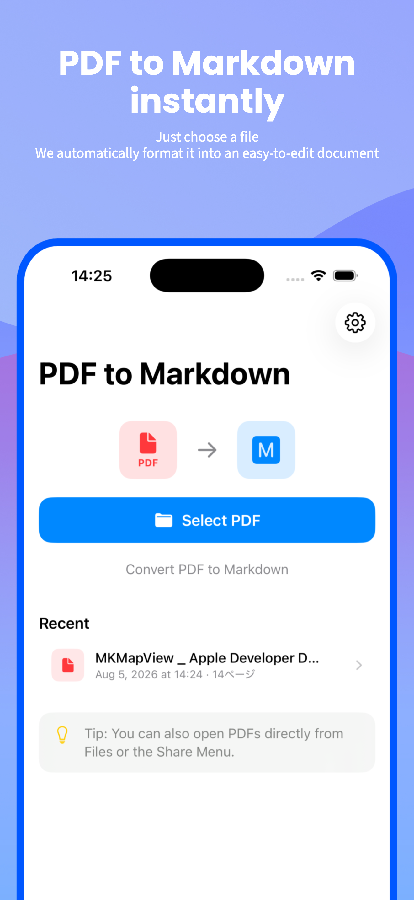 PDF to Markdown Converter screenshot 2