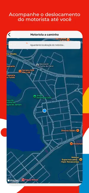 PalmXP screenshot 4