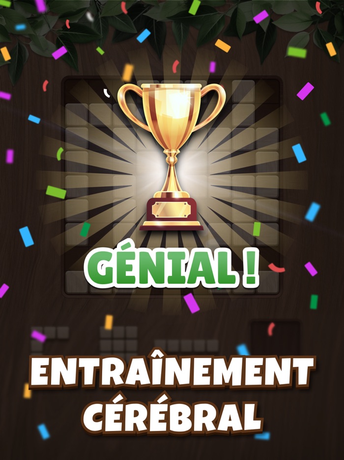 Woody Block Puzzle Cube Block