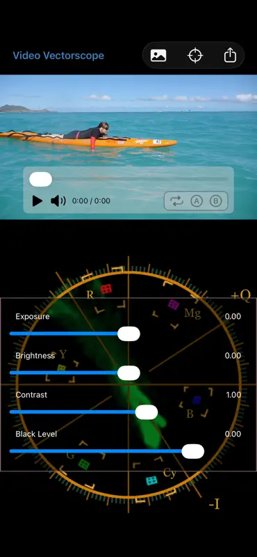 Video VectorScope screenshot 3 of 6