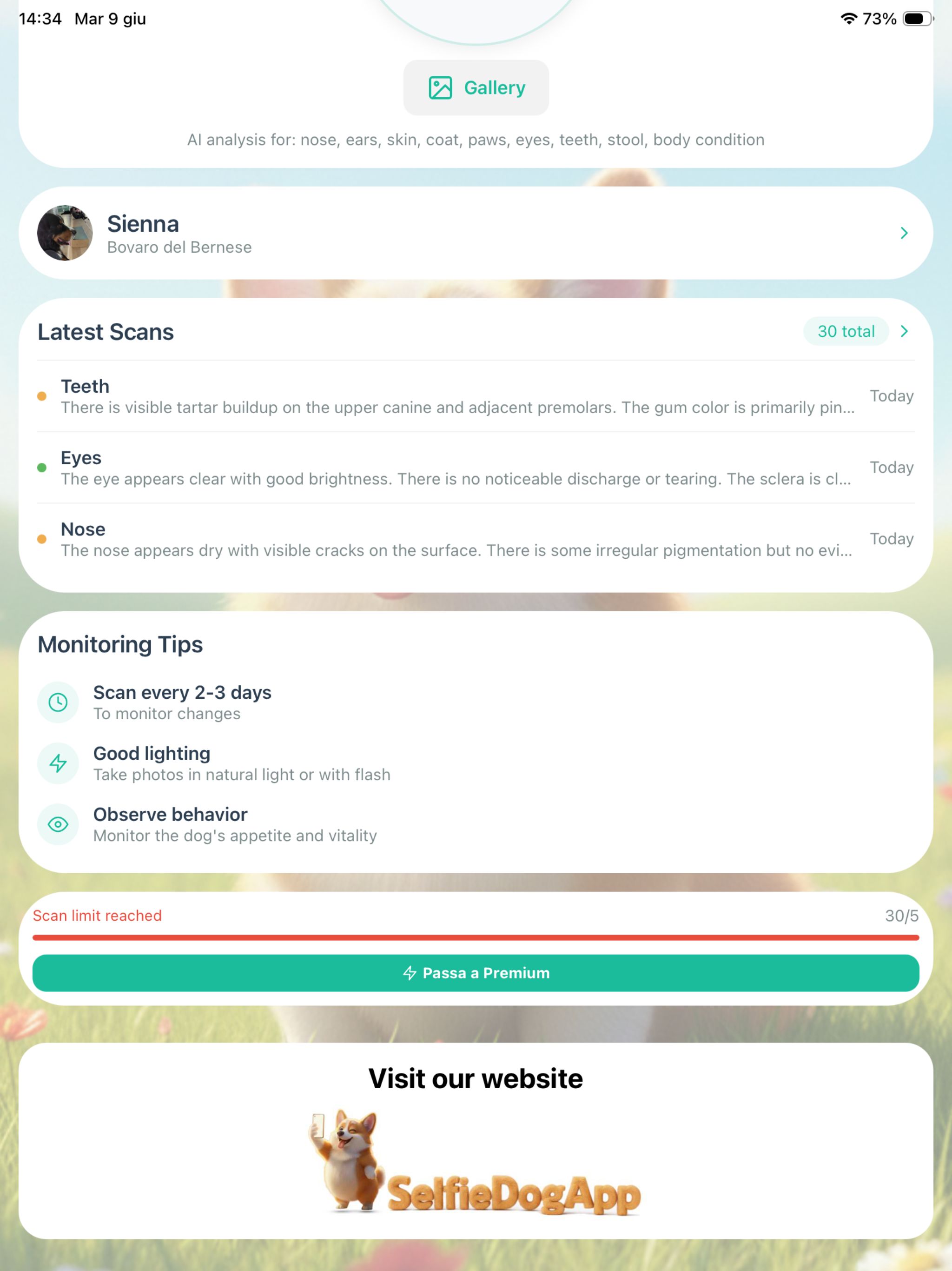 SelfieDog App screenshot 18