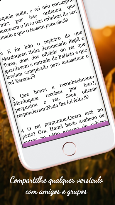 Bíblia Mulher de Virtudes Screenshot