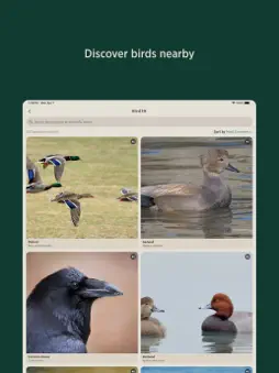 Audubon Bird Guide screenshot 10