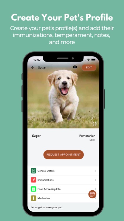 Custom Canine Grooming