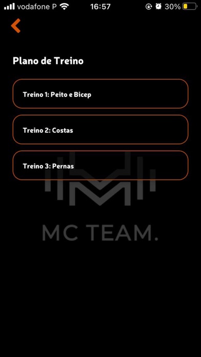 MCTEAM Screenshot
