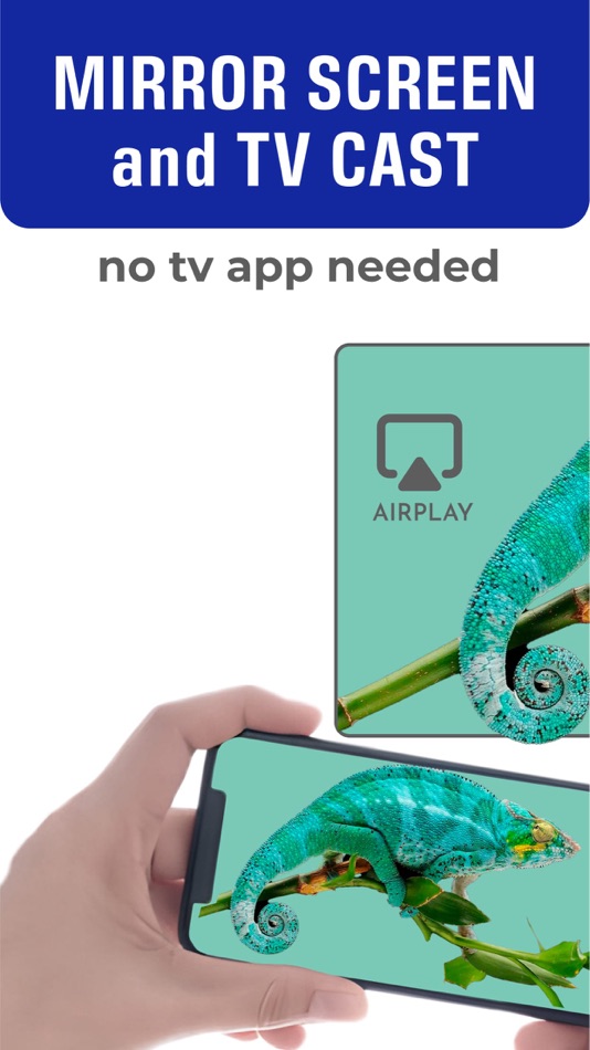 #1. SMART VIEW: TV Web Video Cast (iOS) 게시자: Yury Shildiner