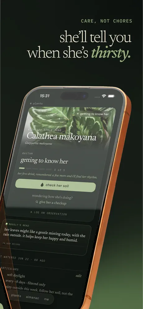 Mossly screenshot 2