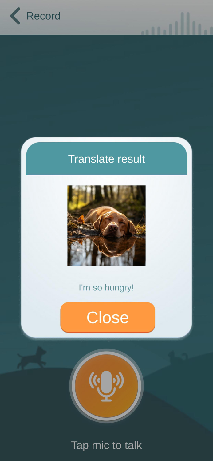 Cat  Dog Sounds Translator