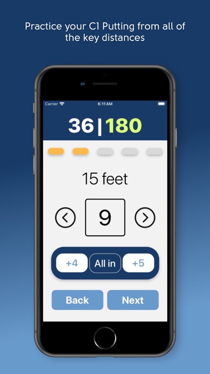 Birdi - Disc Golf Practice