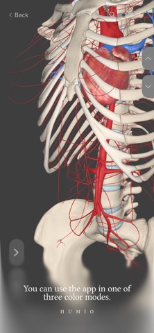 Humio: 3D Human Anatomy iPhone screenshot
