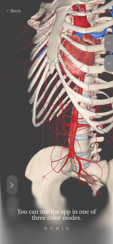 Humio: 3D Human Anatomy - Education App | MWM