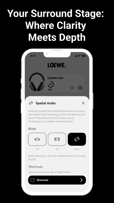 Loewe leo iPhone screenshot 9 - Music app