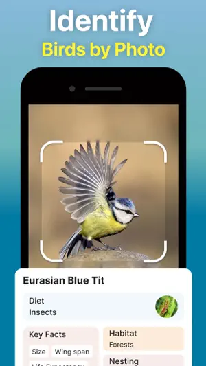 Identify Anything AI Scanner screenshot 4