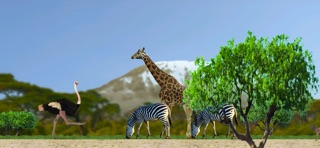 Ostrich Trails iPhone screenshot