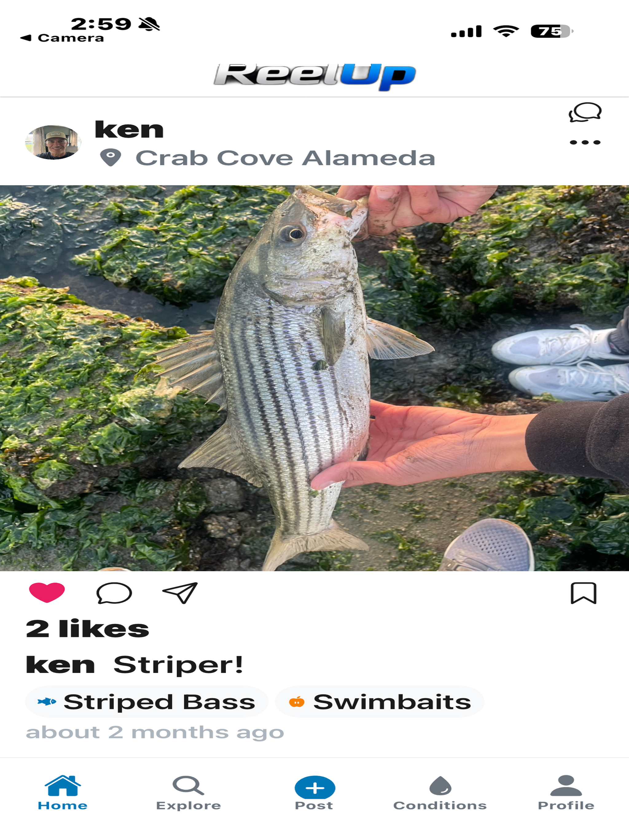 ReelUp Fishing