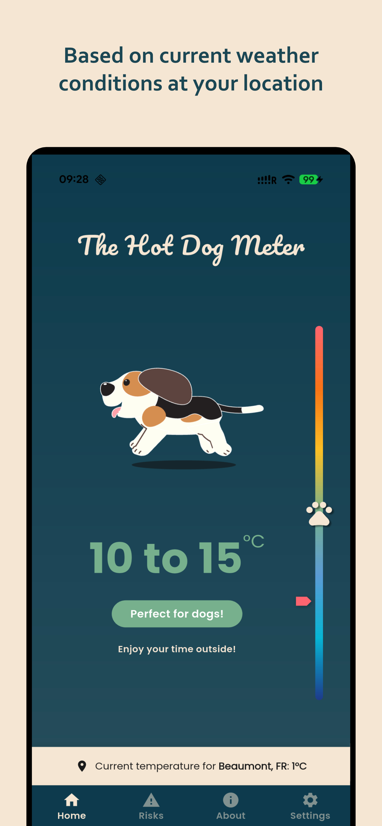 The Hot Dog Meter screenshot 4