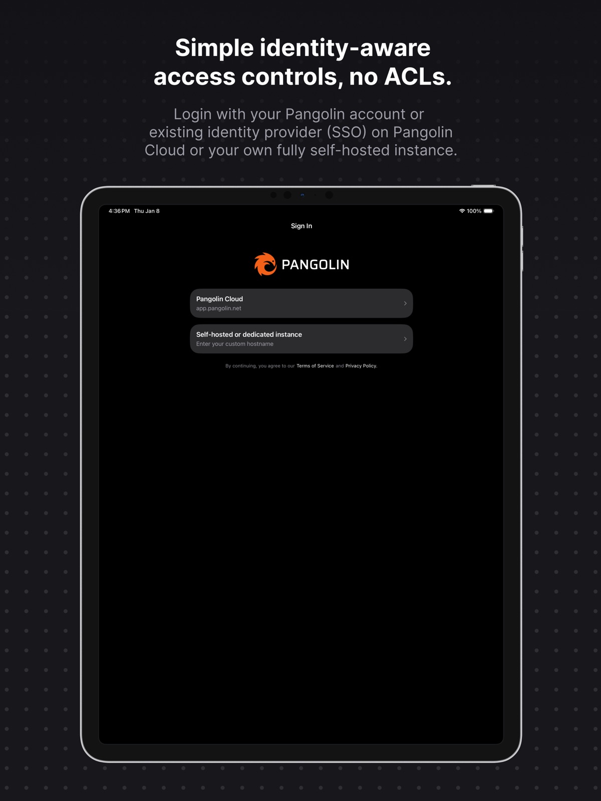 Pangolin Client ipad screenshot 2
