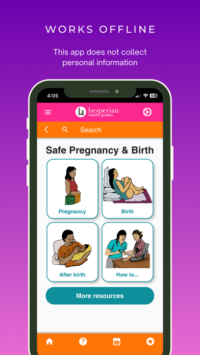 Safe Pregnancy and Birth Screenshot