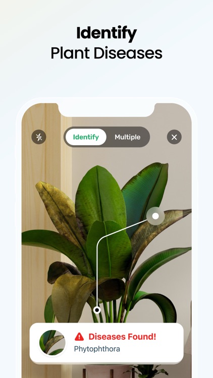 Plant App: Plant Identifier