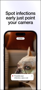 Omelo: Pet Symptom Checker screenshot