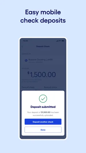 Bluevine screenshot 2