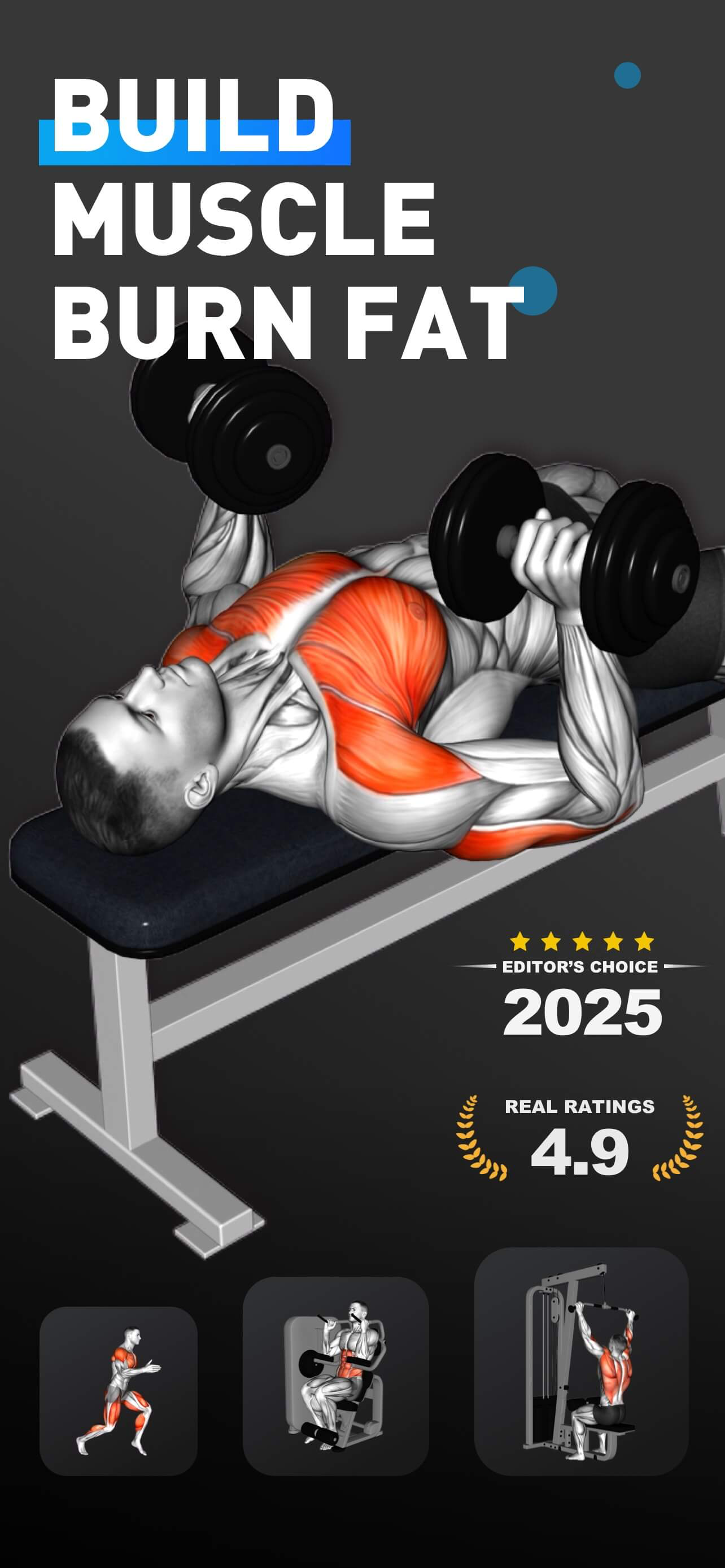 MuscleMaxme - Build Muscle