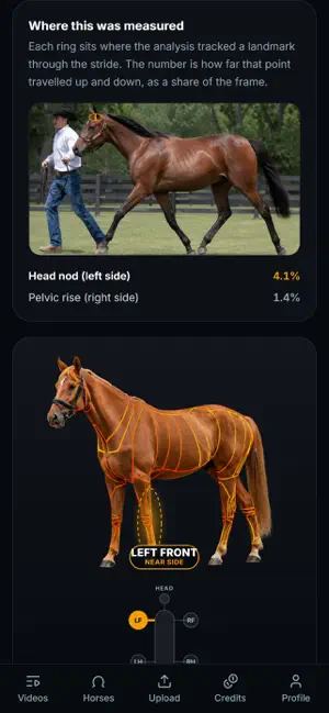 EquiLogic screenshot 3