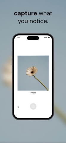 frolic. screenshot