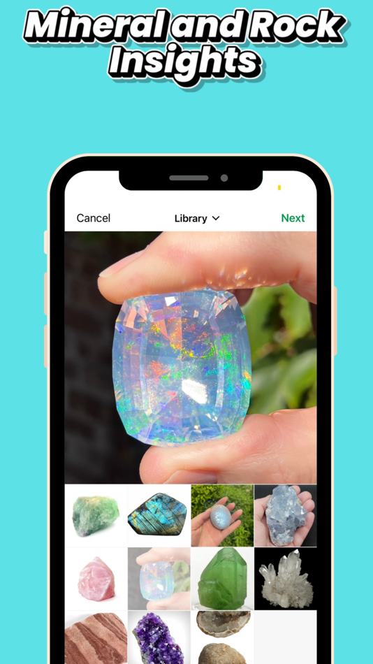 #4. Rock Identifier: Rocksnap (iOS) Podle: Umi Indigo LLC