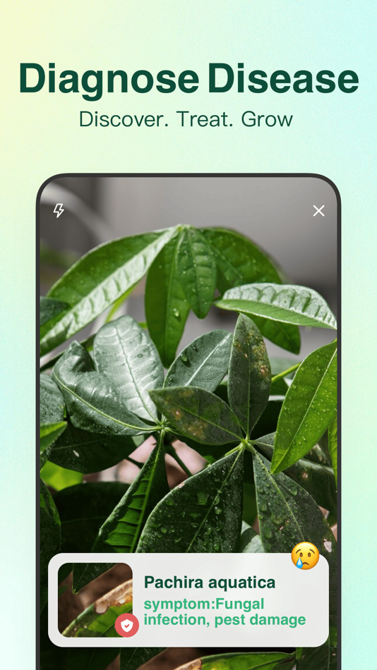 #4. AI Agent - Chat bot Assistant (iOS) 来自: 文霖 郑