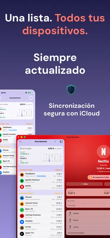 Gestor de Suscripciones: Subd screenshot 7 of 7