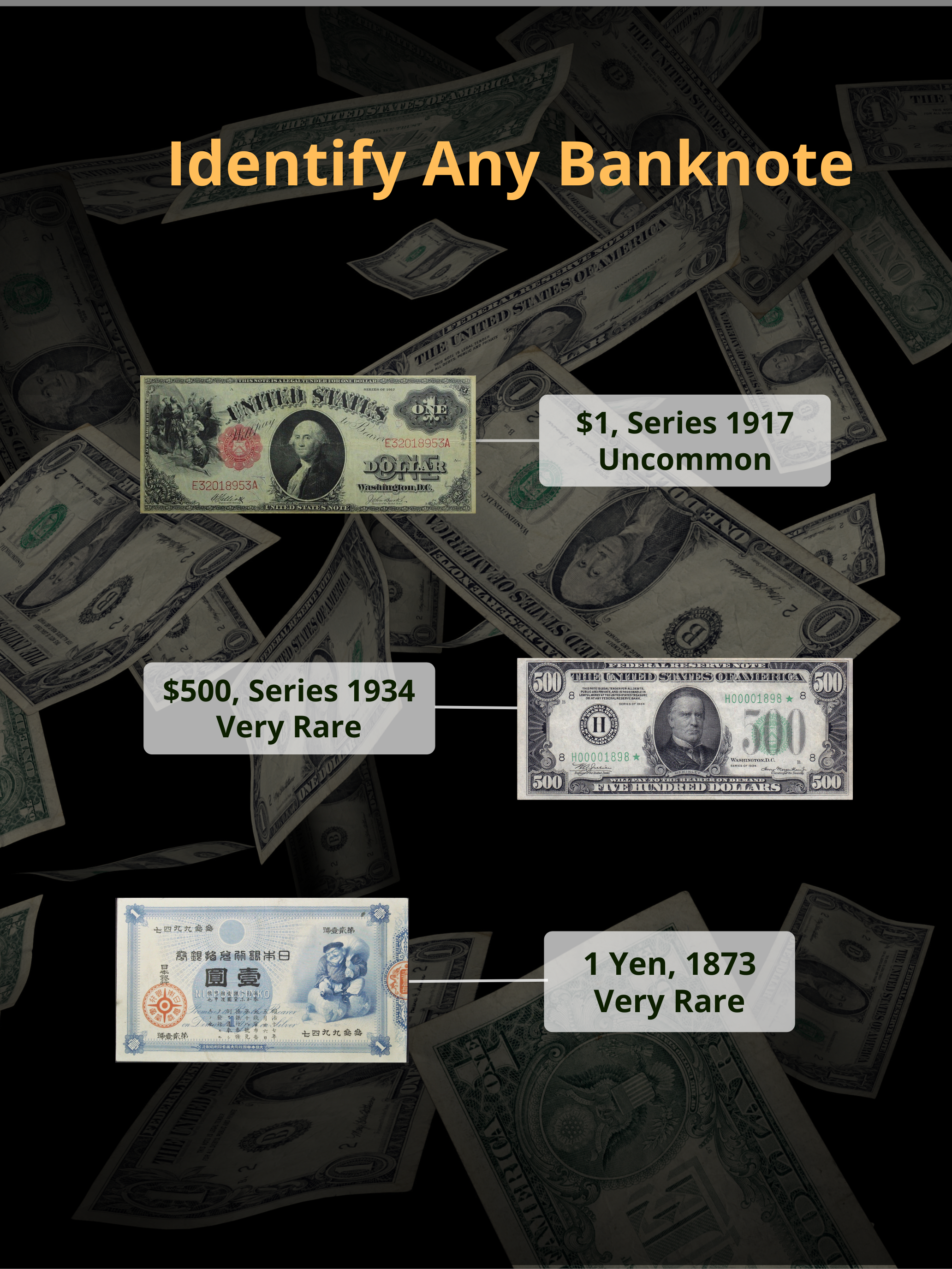 Dollar Bill Scanner: Banknote screenshot 5