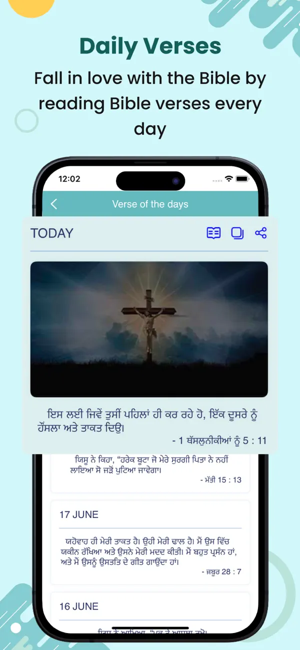 The Punjabi Bible Screenshot 4