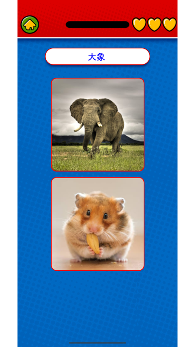Learn Cantonese Flashcard Screenshot