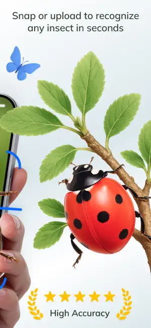 Insect Identifier - BugFlow screenshot 2