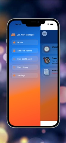 Car Alert Manager screenshot