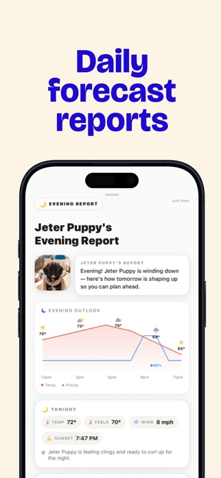 WeatherPets: Weather & Widgets Screenshot 8 of 10