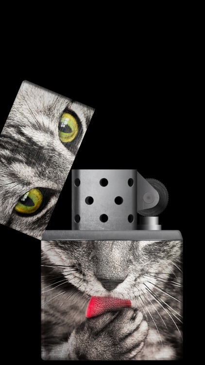 Lighter Simulator Concert Mode screenshot-9