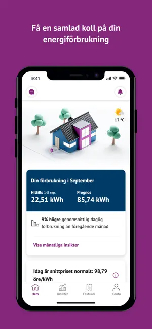 Svekraft screenshot 4