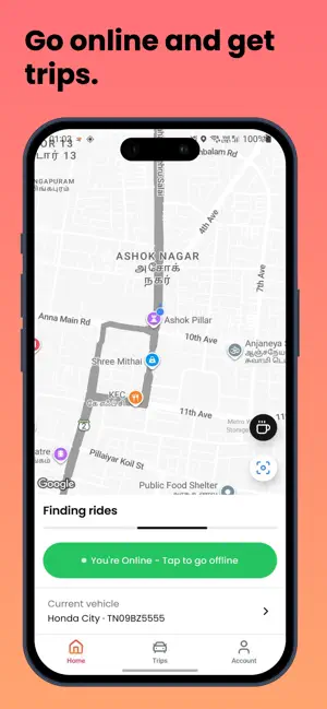 Zion Driver screenshot 1